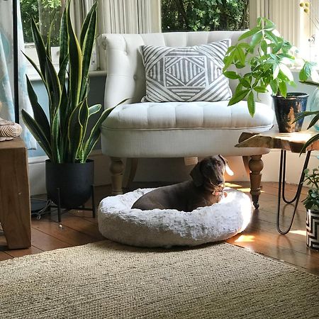 Dawn And Dudley The Sausage Dog'S Parkside Home Londen Buitenkant foto
